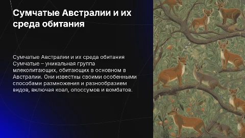 Слайд 1: Отряд Сумчатые Коала, Опоссум и Вомбат