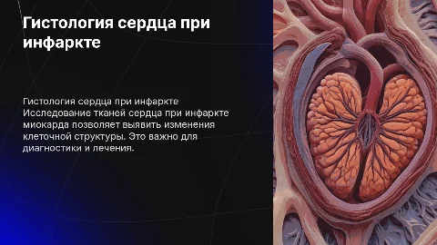 Гистологические исследования тканей сердца при инфаркте