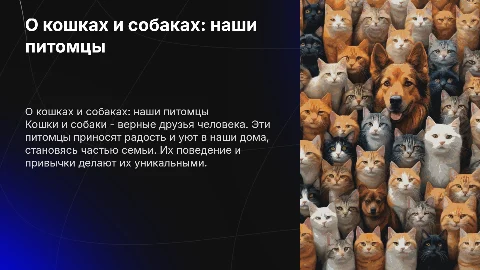 о кошках и собаках (наши питомцы)