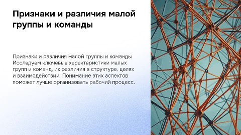 признаки и различия малой группы и команды
