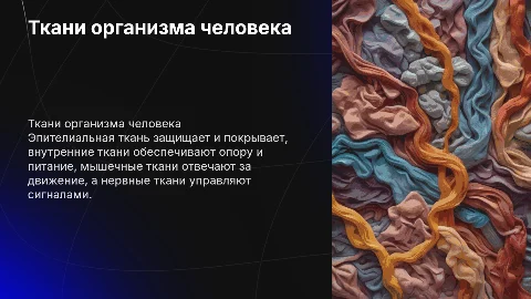 Эпителиальная и нервная ткани: презентация для студентов