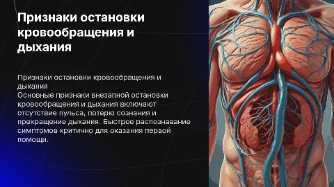 Признаки внезапного прекращения кровообращения,дыхания