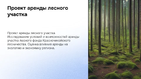 Проект аренды лесного участка Красночикойского лесничества