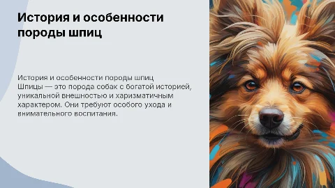 Шпиц: история, характер, воспитание и уход за собакой