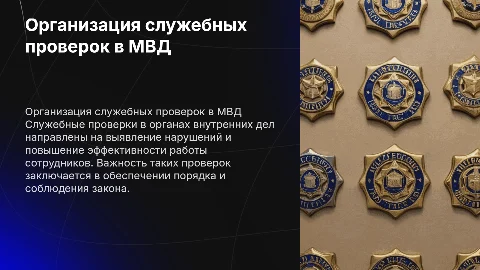 организация служебных проверок в органах внутренних дел