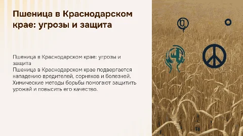 Пшеница в Краснодарском крае: вредители и методы борьбы