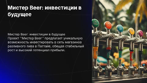 Презентация для инвесторов проекта "Мистер Beer" в Паттайе
