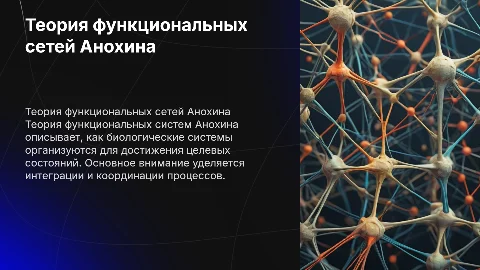 Теория функциональных сетей Анохина
