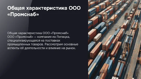 Общая характеристика ООО «Промснаб» города Липецк