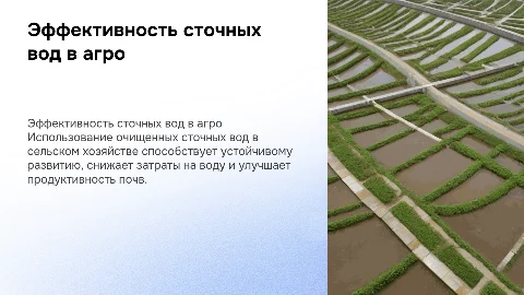 Экологическая и экономическая эффективность сточных вод в агросекторе