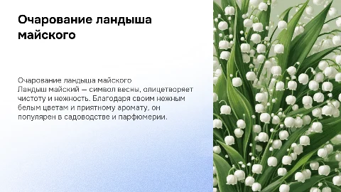 Ландыш майский