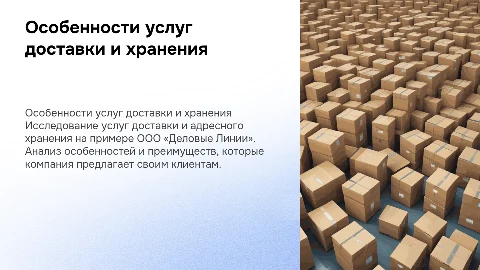 Услуги доставки и адресного хранения от ООО «Деловые Линии»