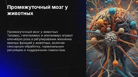 Функции промежуточного мозга у животных: таламус и гипоталамус