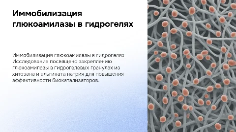 Иммобилизация глюкоамилазы в гидрогелях: презентация и результаты