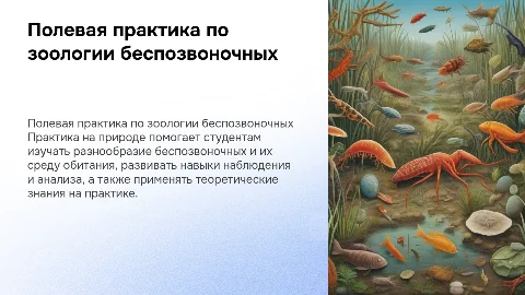 полевая практика для студентов по зоологии беспозвоночных