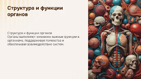 органы