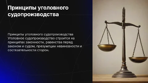 принципы уголовного судопроизводства