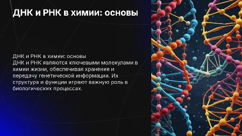 днк и рнк в химии