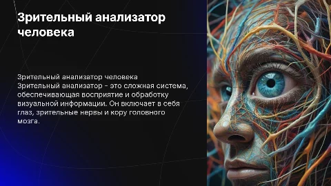 Зрительный анализатор