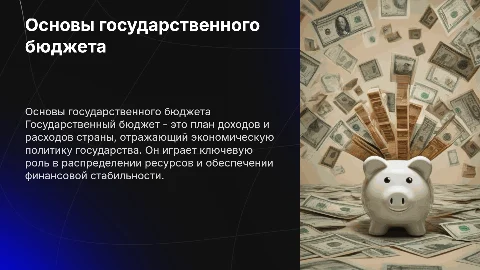 государственный бюджет
