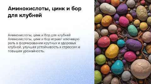 Аминокислоты, цинк и бор: формула крупных клубней