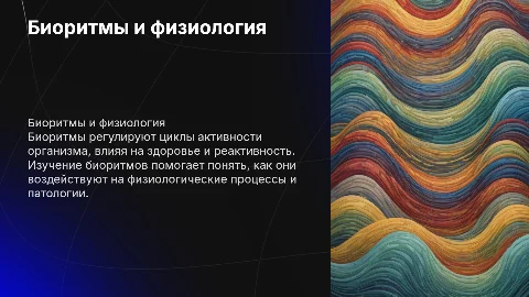 Биоритмы и их роль в физиологической реактивности