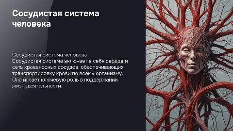 сосудистая система