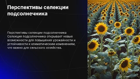 Перспективы селекции подсолнечника