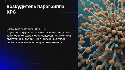 Возбудитель парагриппа КРС: диагностика и характеристики
