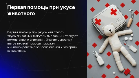Первая помощь при укусе животного