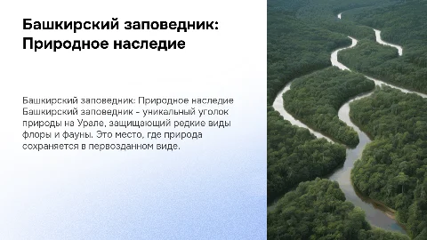 Башкирский заповедник