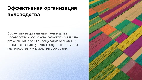 Организация полеводства