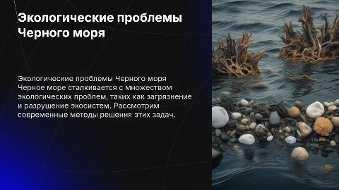 СОВРЕМЕННЫЕ ЭКОЛОГИЧЕСКИЕ ПРОБЛЕМЫ ЧЕРНОГО МОРЯ И ПУТИ ИХ РЕШЕНИЯ