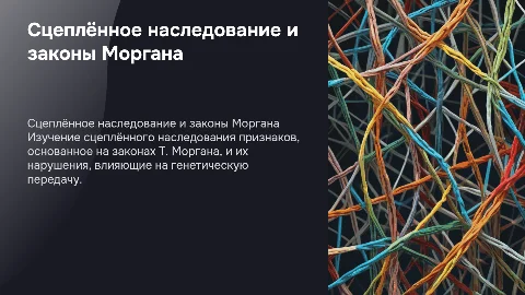 Сцеплённое наследование признаков и законы Т. Моргана