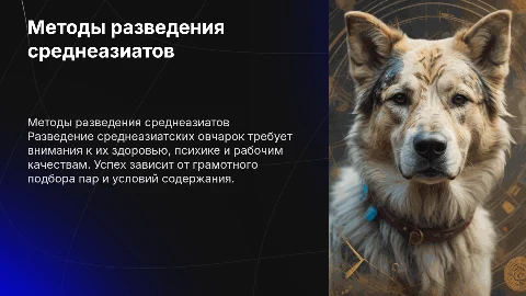 Методы разведения среднеазиатских овчарок для здоровья и психики