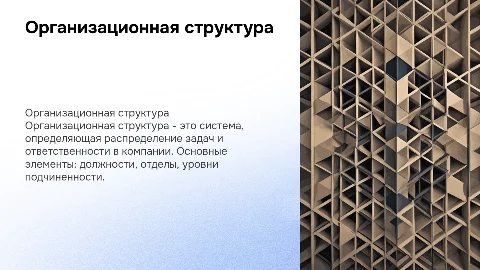 Понятие организационной структуры и её элементы