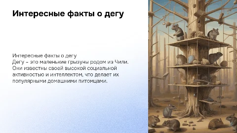 презентация про дегу