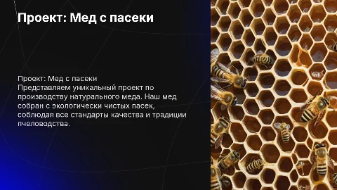 ХАРАКТЕРИСТИКА ПРОЕКТА мед с пасеки