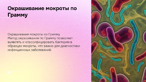 окрашивание мокроты по грамму