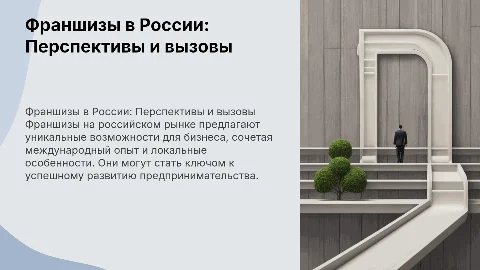 франшизы для российского рынка