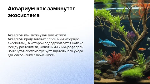 «Аквариум — замкнутая экосистема»