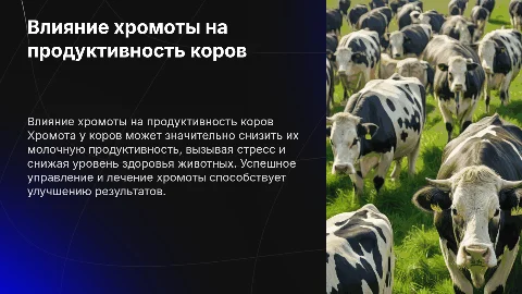 Влияние хромоты на молочную продуктивность коров