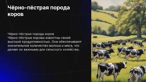 Чёрно-пёстрая порода коровы: функции и характеристики