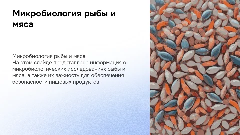 Микробиологическое исследование рыбы и мяса: презентация