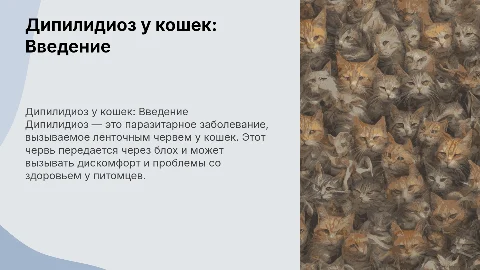 Дипилидиоз у кошек