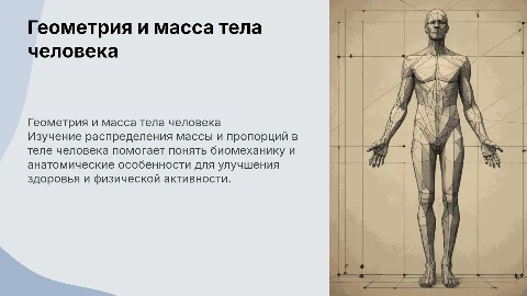 Геометрия масс тела человека
