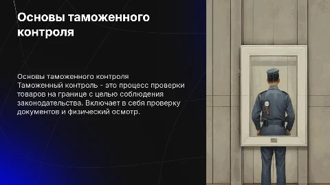 Таможенный контроль