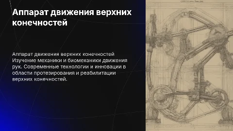 аппарат движения верхних конечностей