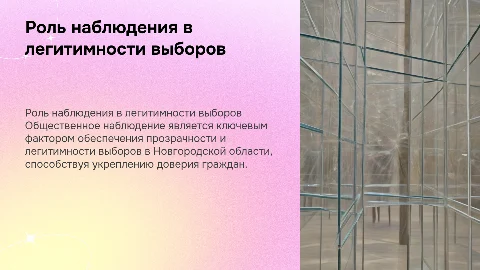 Общественное наблюдение и легитимность выборов в Новгороде