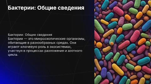 Бактерии. Общие сведения